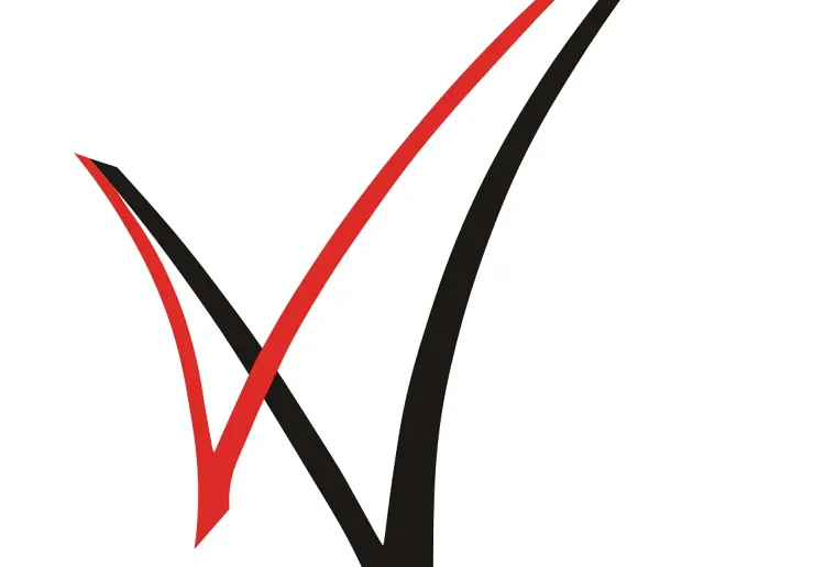 VV%20logo.png